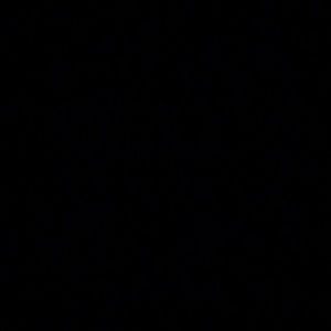 Meet your Posher, Daisy